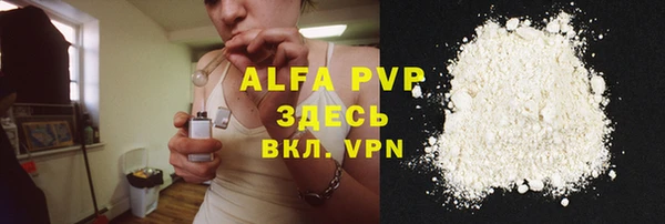 прущие грибы Зеленокумск