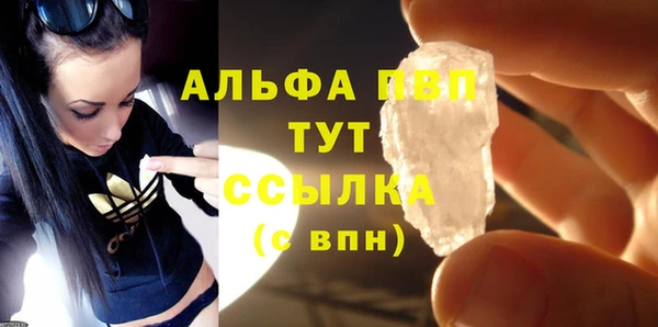 прущие грибы Зеленокумск