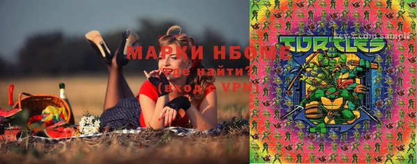 прущие грибы Зеленокумск