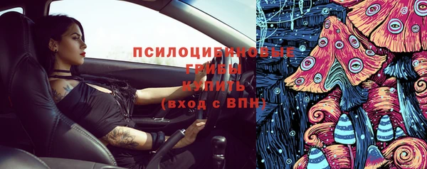 прущие грибы Зеленокумск