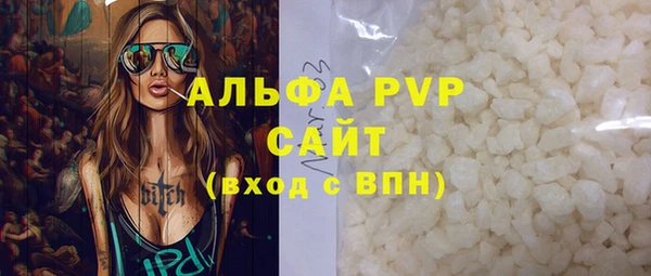 прущие грибы Зеленокумск